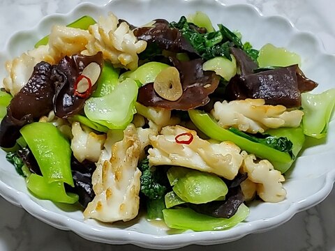 イカと青梗菜の中華炒め